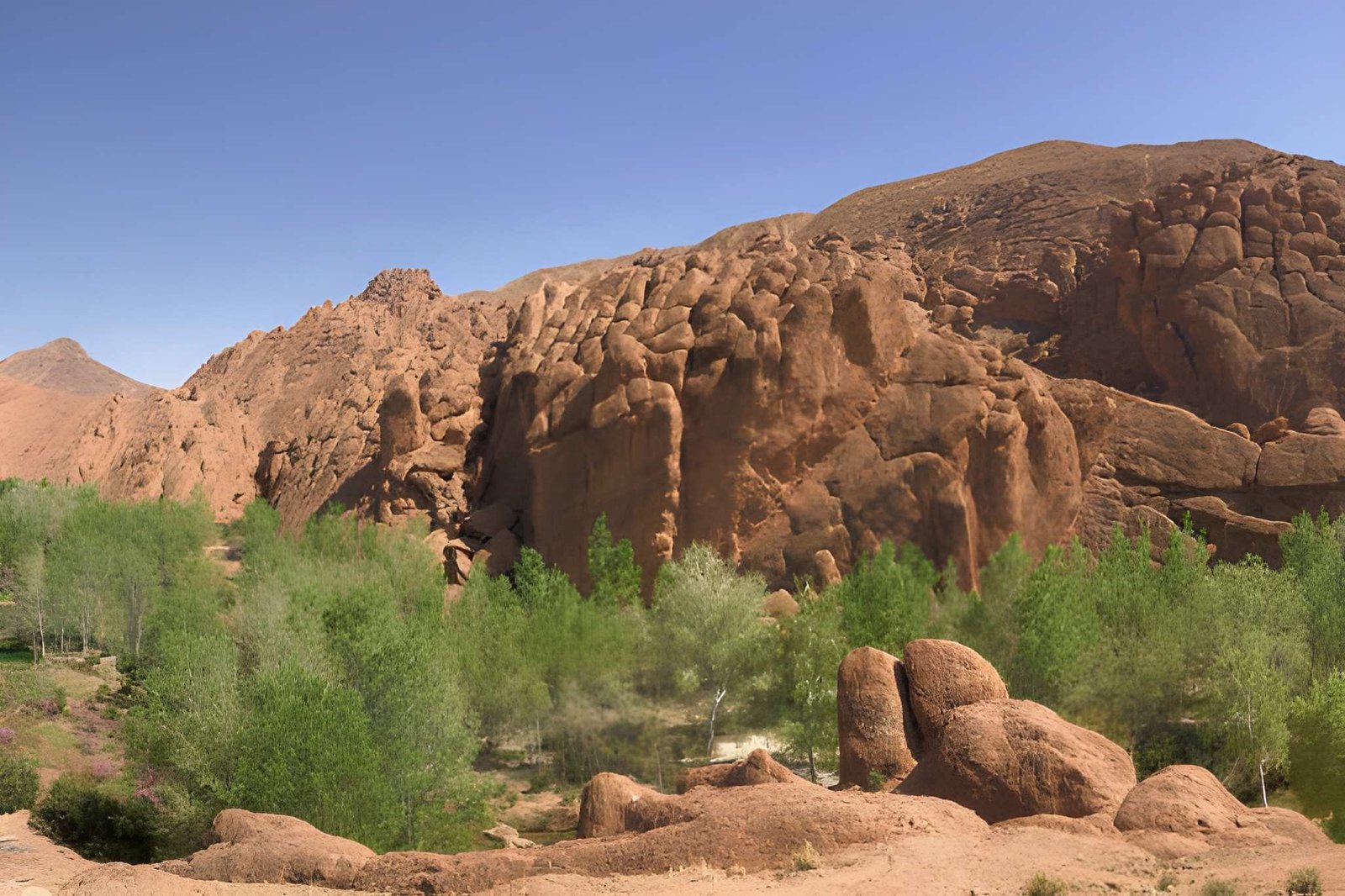 Paseo por las montañas del Atlas y piscina natural de río