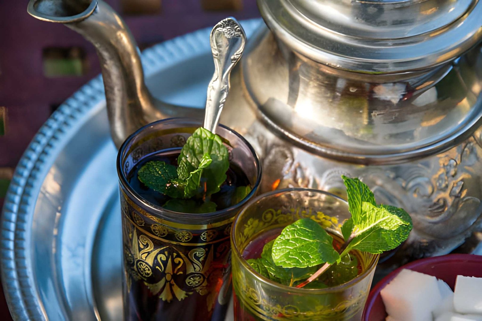 Bienvenida tradicional con té de menta bereber en el Valle del Dadés