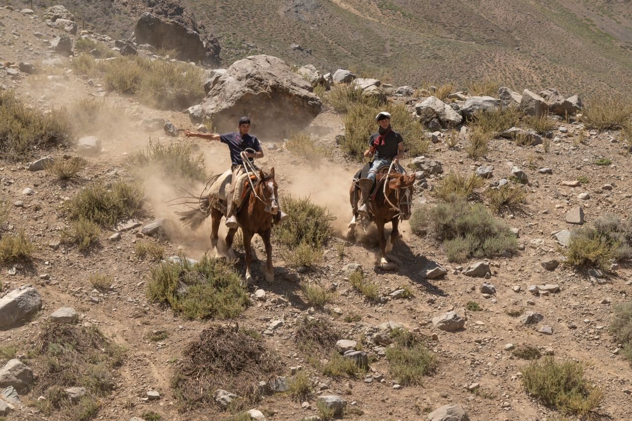 Fin del paseo a caballo en Todra