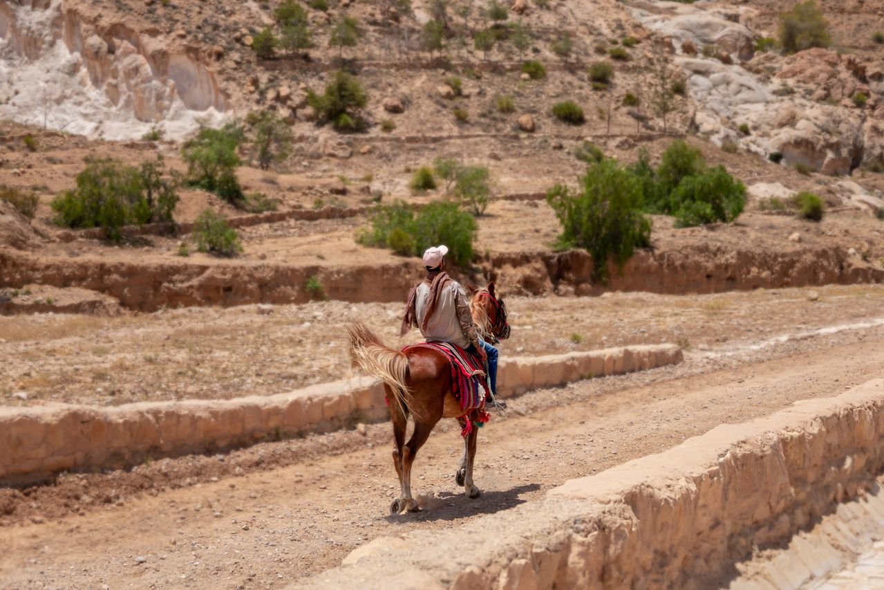 Preparación del paseo a caballo en las Gargantas del Todra